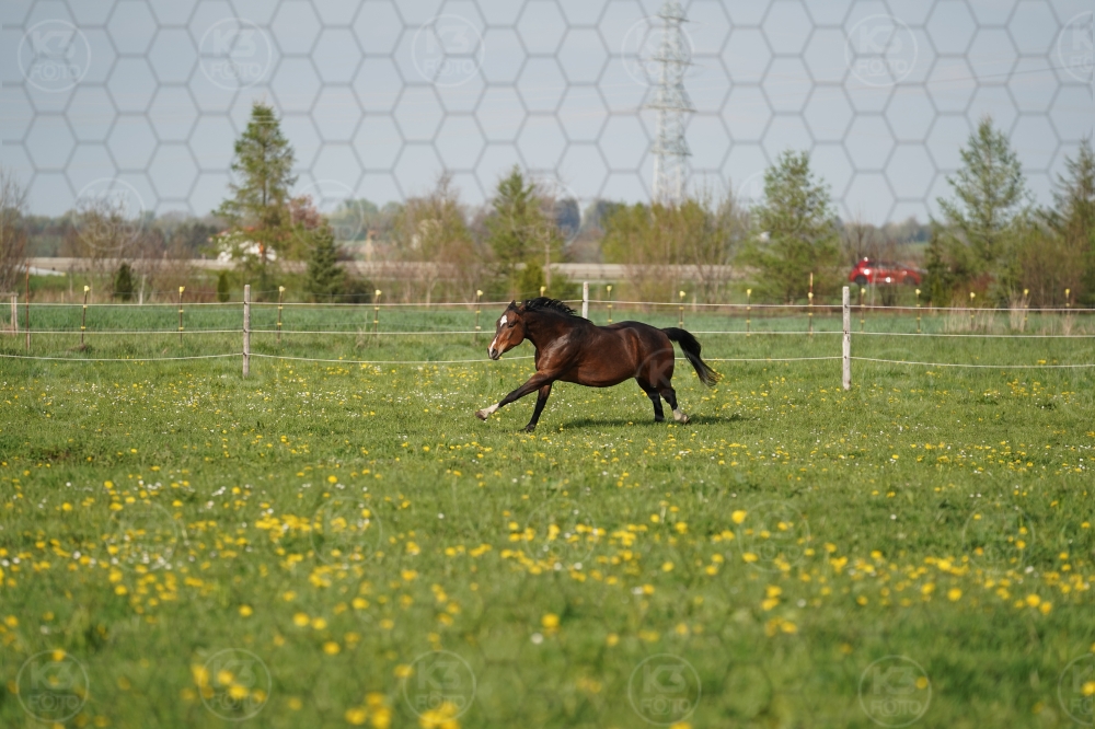 s_A9_09631.jpg